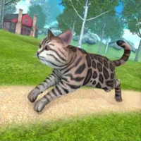 Parkour Tom Cat Simulator Game